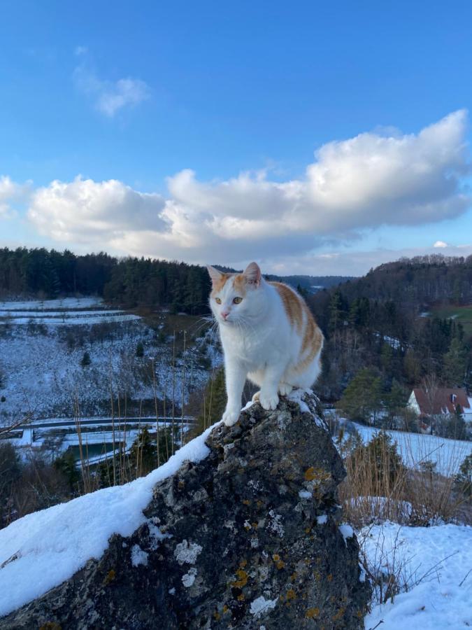Zur Saegemuehle Hiltpoltstein