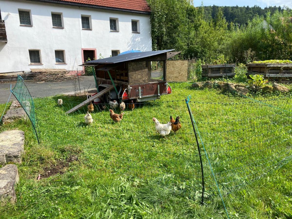 Zur Saegemuehle Apartment Hiltpoltstein